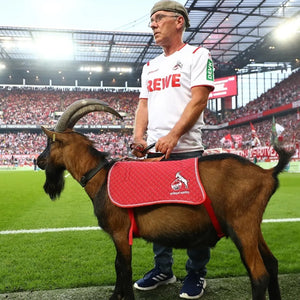Hennes: Bundesliga's most iconic mascot