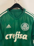 Palmeiras 2015 - Home