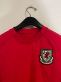 Wales 2004/05 - Home
