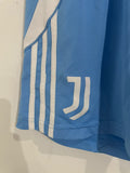 Juventus - Training Shorts