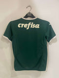 Palmeiras 2022 - Home