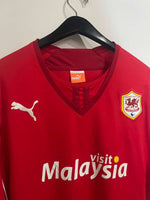 Cardiff City 2013/14 - Home