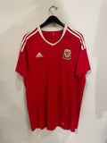 Wales 2016 Euro Cup - Home