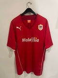 Cardiff City 2013/14 - Home