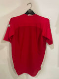 Wales 2004/05 - Home