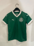 Palmeiras 2025 - Home