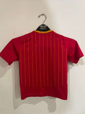 Spain 2006 World Cup - Home