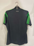 Mexico 2014 World Cup - Training