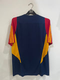 Spain 2022 World Cup - Training