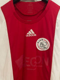 Ajax 2008/09 - Home