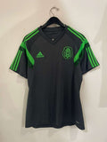 Mexico 2014 World Cup - Training