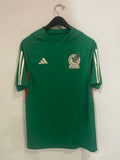 Mexico 2022 World Cup - Training