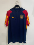 Spain 2022 World Cup - Training