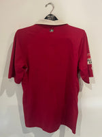 Hannover 96 2012/13 - Home