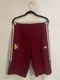Venezuela 2011/12 - Training Shorts