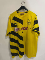 Borussia Dortmund 2014/15 - Home