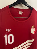 Independiente Santa Fe 2013 - Training - #10