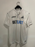 Swansea City 2016/17 - Home