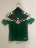 Mexico 2014 World Cup - Home