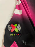 Veracruz 2016/17 - Alternate