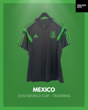 Mexico 2014 World Cup - Training