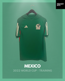 Mexico 2022 World Cup - Training