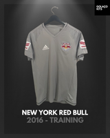 New York Red Bull 2016 - Training