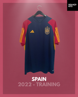 Spain 2022 World Cup - Training