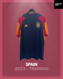 Spain 2022 World Cup - Training