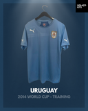 Uruguay 2014 World Cup - Training