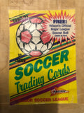 MISL 1990/91 - Trading Cards *BNIB*