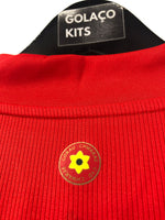 Wales 2020 Euro Cup - Home