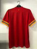 Wales 2020 Euro Cup - Home