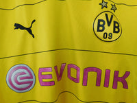 Borussia Dortmund 2015/16 - Home