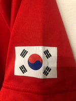 South Korea 2010 World Cup - Fan Kit